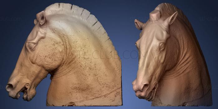 3D мадэль Гигантская голова лошади (STL)